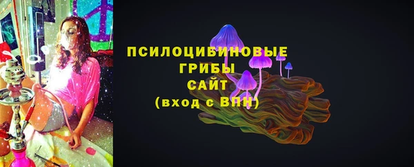 мет Аркадак
