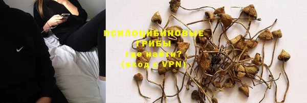 таблы Армянск