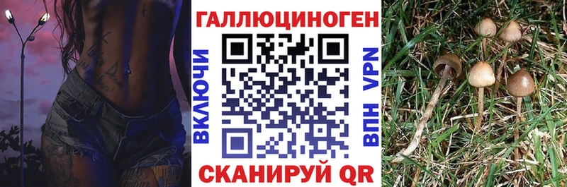 наркота мега ССЫЛКА Псилоцибиновые грибы Psilocybine cubensis Спасск-Дальний